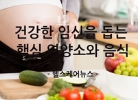 임산부에게 필수! 건강한 임신을 돕는 '핵심 영양소'와 그 식품들