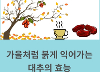 [카드뉴스] 가을을 닮은 대추의 효능