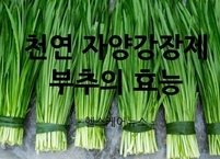 천연 자양강장제 봄 부추의 효능