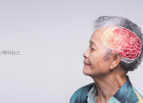 글로벌 의학 리포트 | 2025 글로벌 의학 연구의 방향을 바꾼 성과들 ④ 알츠하이머·치매 연구의 전환점