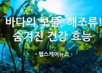 바다의 보물, 해조류! 숨겨진 건강 효능 