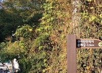 역사의 현장에 다시 서서