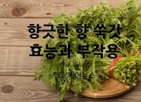 향긋한 향이 일품인 쑥갓의 다양한 건강 효능