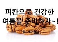피칸으로 건강한 여름을 준비하자~!