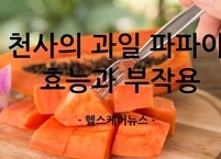 ‘천사의 과일’ 파파야 효능과 부작용