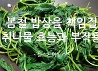 봄철 밥상을 책임질 취나물 효능