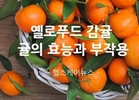옐로푸드 감귤 귤의 효능과 부작용