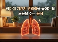 장마철 기관지 면역력을 높이는 데 도움을 주는 음식