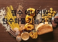 우리 몸의 필수 에너지원 탄수화물 기능과 종류