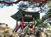 백제 멸망에 대한 진실