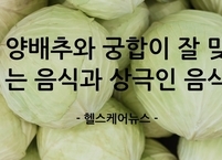 양배추와 궁합이 잘 맞는 음식과 상극인 음식