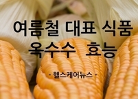 건강과 맛을 동시에 즐기는 여름철 대표 식품 옥수수 효능