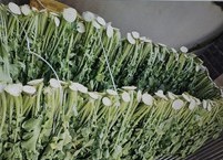 뿌리보다 더 영양가 많은 무시래기 효능
