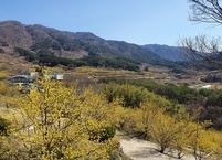 3월 추천여행지