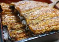 성인병 예방 및 원기회복에 좋은 장어