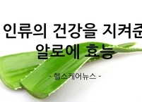 오랜 시간 인류의 건강을 지켜 준 알로에 효능