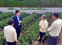 안호영  의원, 우박 피해 입은 무주 장수 방문... 신속지원 약속