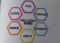 차세대 건강식품 기능성 원료인 멜로시라