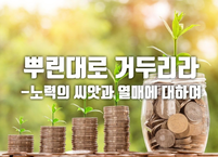 뿌린 대로 거두리라