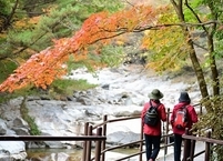 남원시 지리산 뱀사골, 친환경 여행지 선정