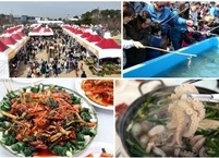 2025서천동백꽃·쭈꾸미축제와 주변 가 볼만 한 곳