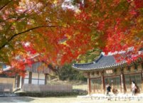 2025단풍지도 및 지역별 단풍명소 소개