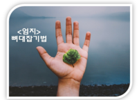 시험을 잘 보게 만드는 다섯손가락 공부법 1