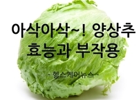 아삭아삭~! 식감도 좋고 영양도 좋은 양상추 효능