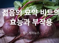 젊음의 묘약 비트의 효능과 부작용