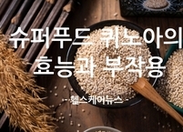 슈퍼푸드 퀴노아의 효능과 부작용