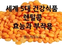 세계 5대 건강식품 렌틸콩 효능과 부작용