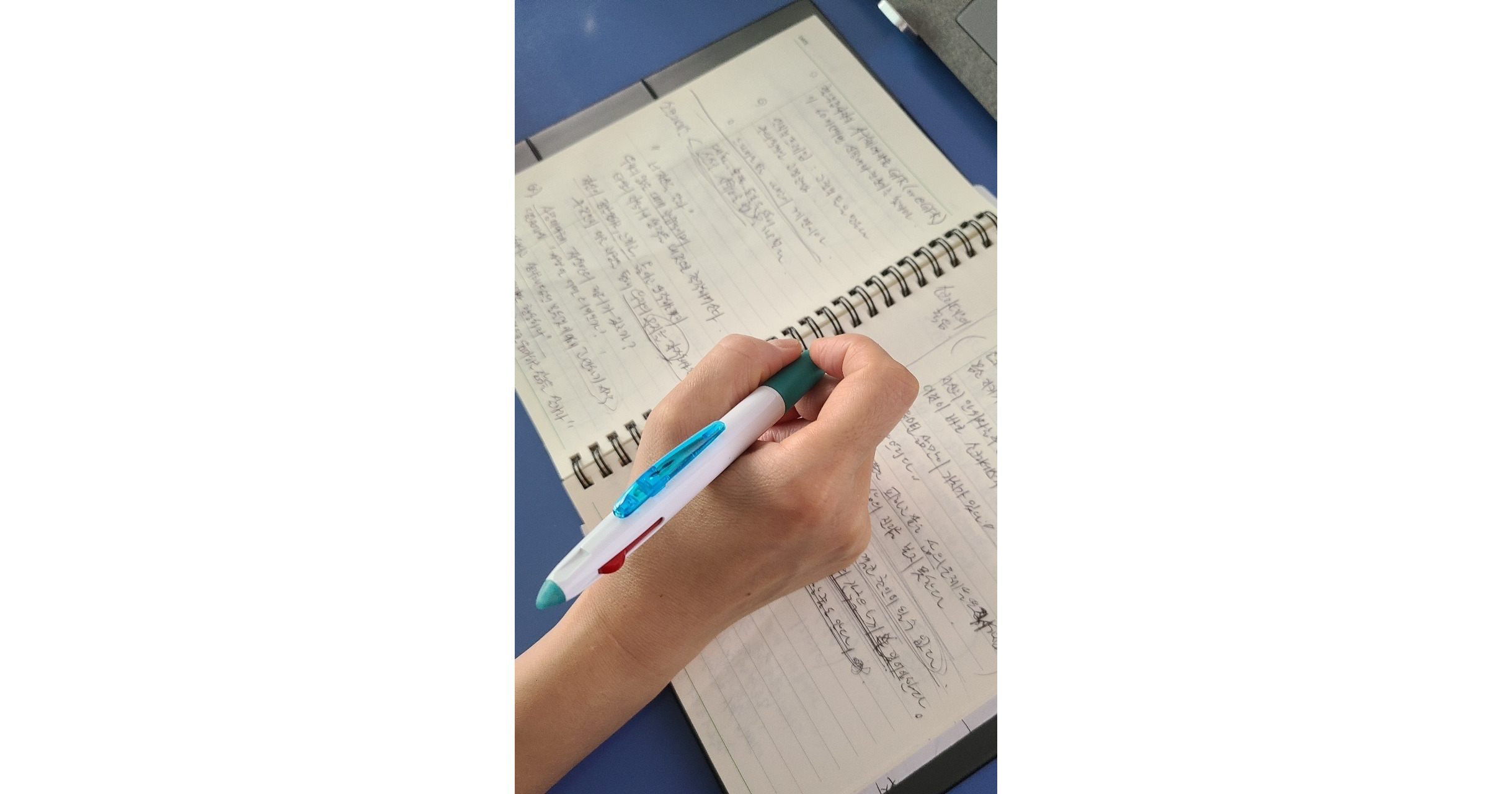 kakao gi rok11630237552