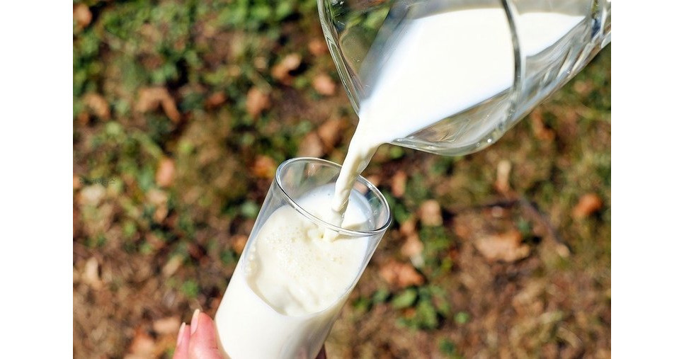 우유 효능과 칼로리 그리고 부작용