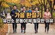 가을 환절기 건강 관리 뚝 떨어진 기온에 유산소 운동이 꼭 필요한 이유 8가지